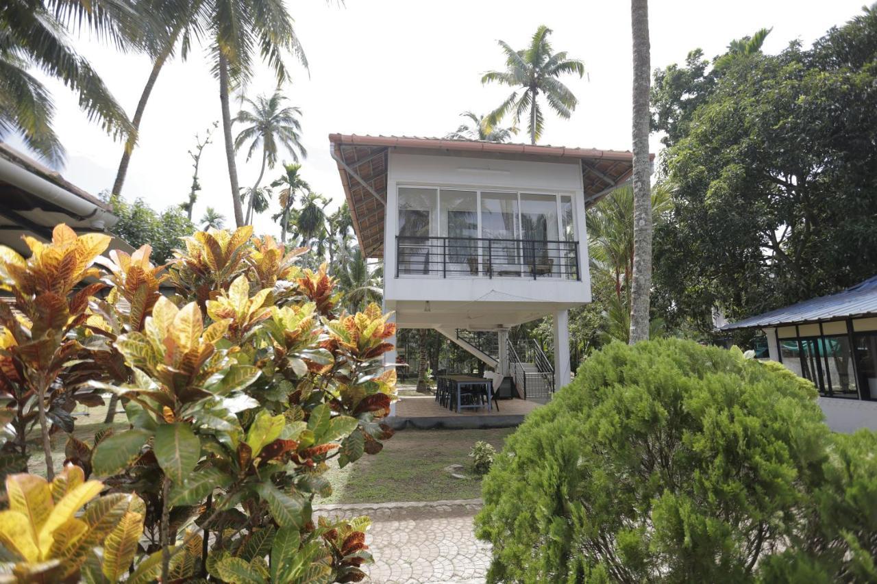 Kallanchery Retreat Kochi Eksteriør bilde